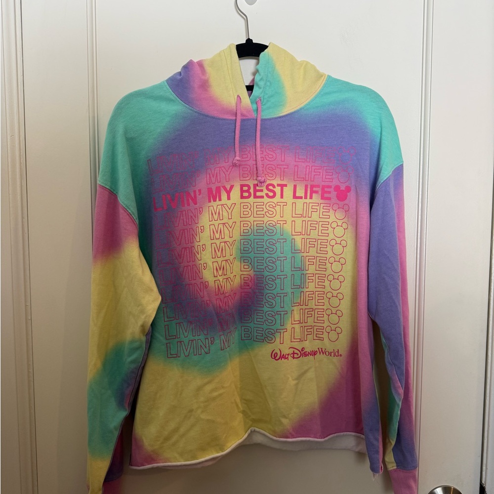 Disney Pastel Gradient Hoodie